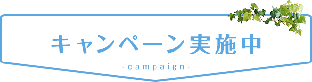 キャンペーン